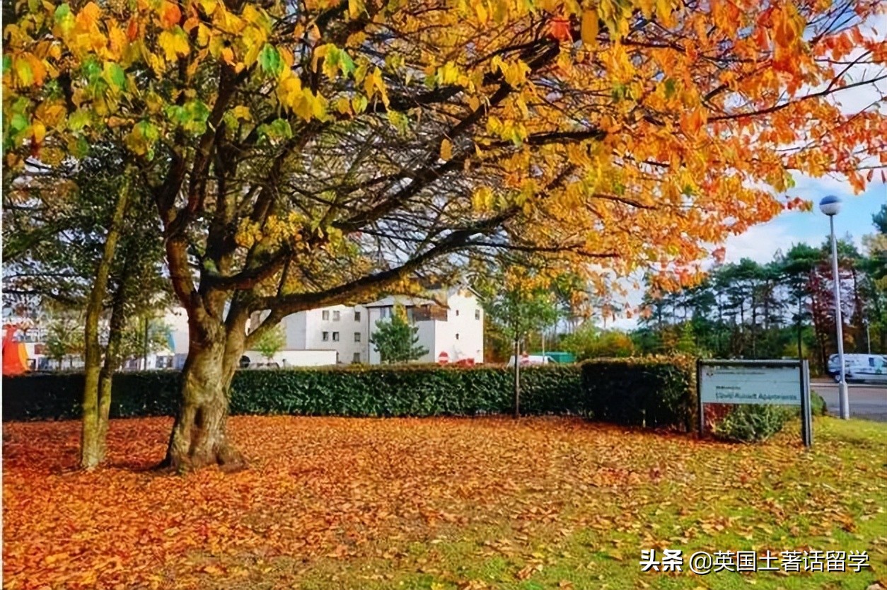 圣安德鲁斯大学,圣安德鲁斯大学简介