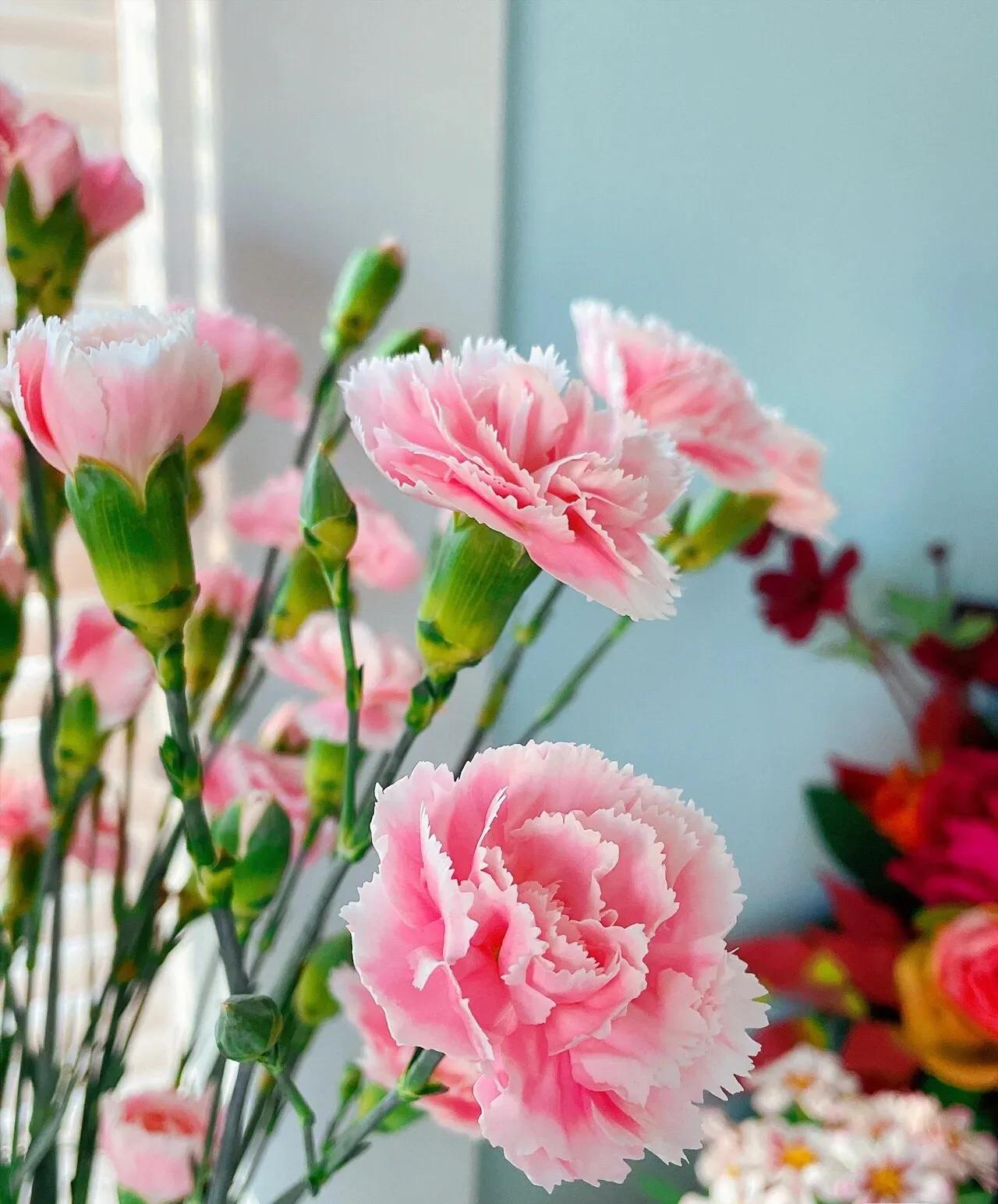 母亲节暖心文案给老婆,母亲节暖心文案