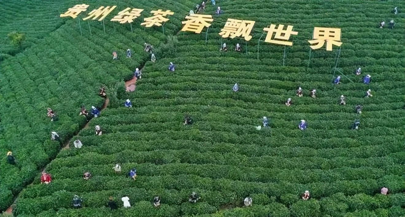 贵州茶产业机遇与挑战,贵州茶产业综述