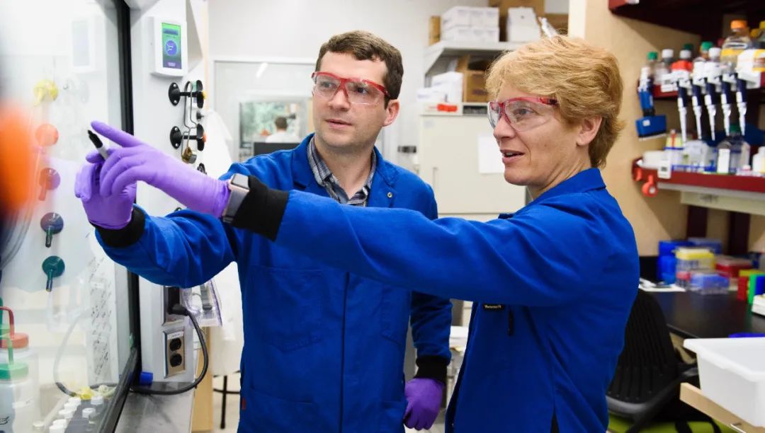 年度硬核女学霸爆红！当年是哈佛乐队键盘手，如今是诺贝尔得主…