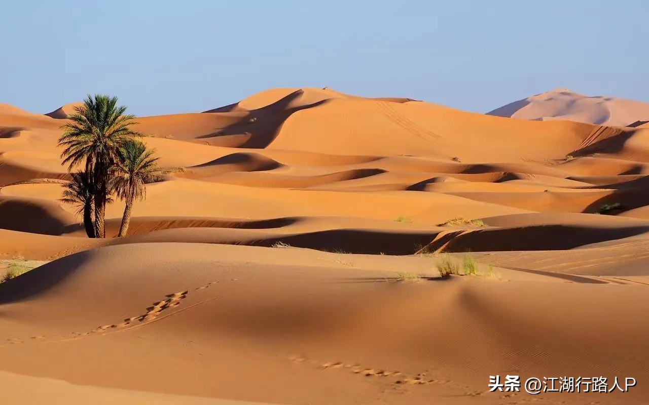 梅西加盟迈阿密国际4场比赛,梅西加盟迈阿密官宣