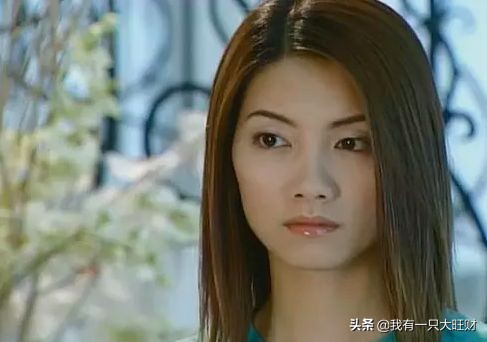 薰衣草从零开始,薰衣草诠释爱情