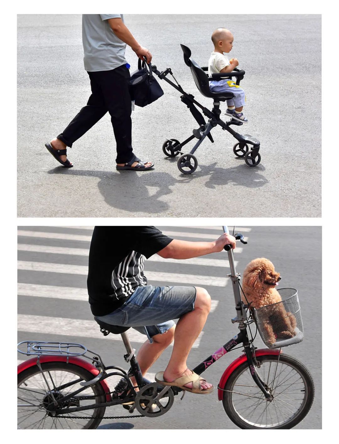 迎接党的20大美术作品,喜迎二十大乡村摄影展