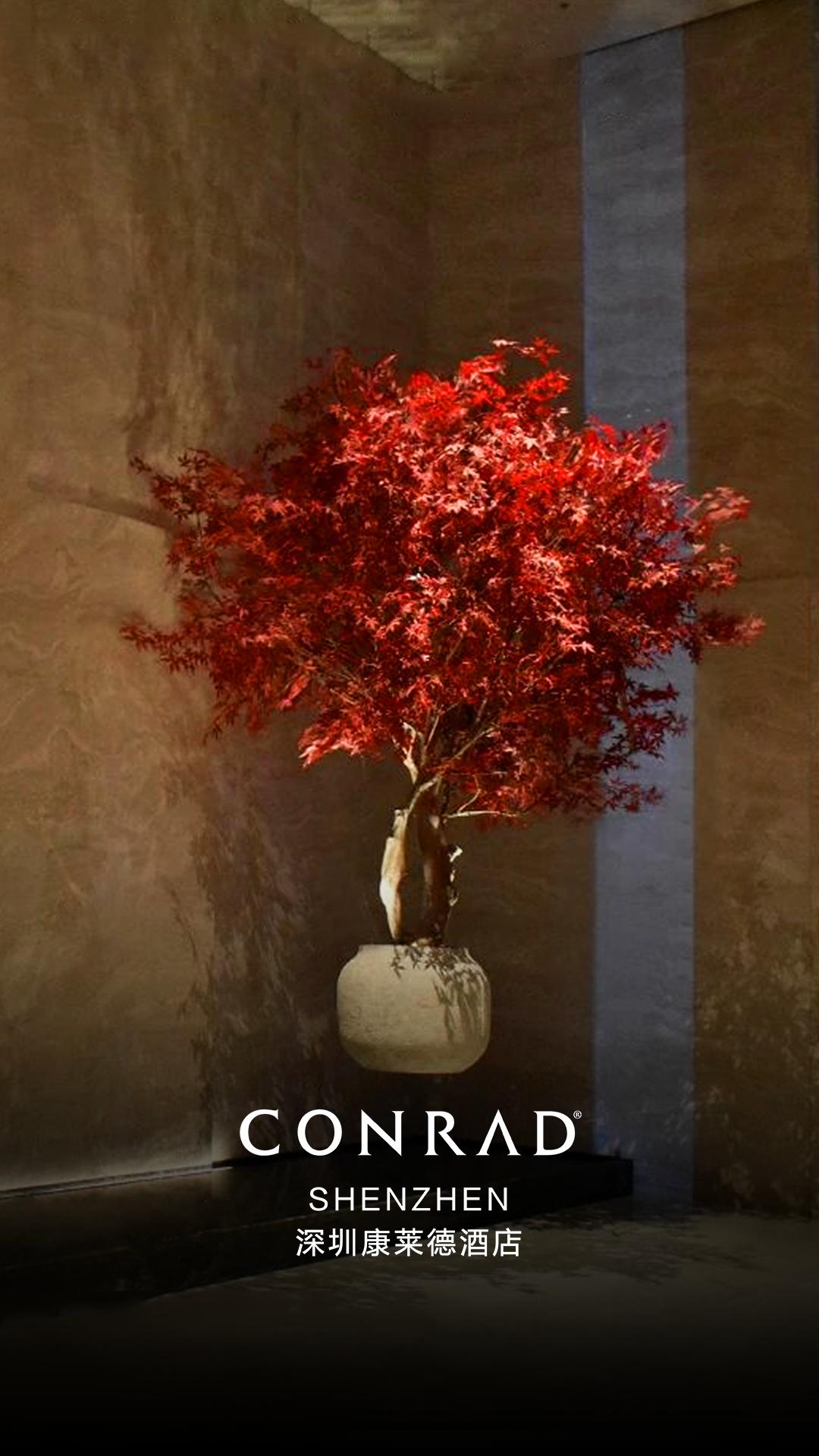 杭州康莱德酒店大厅效果图,深圳康莱德酒店拍摄