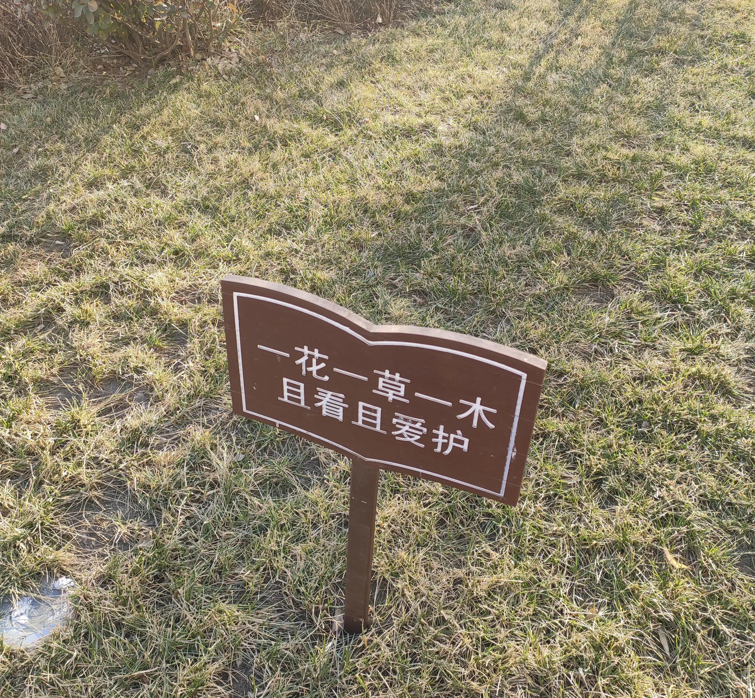 黄帝内经之易经智慧,黄帝内经研究股票