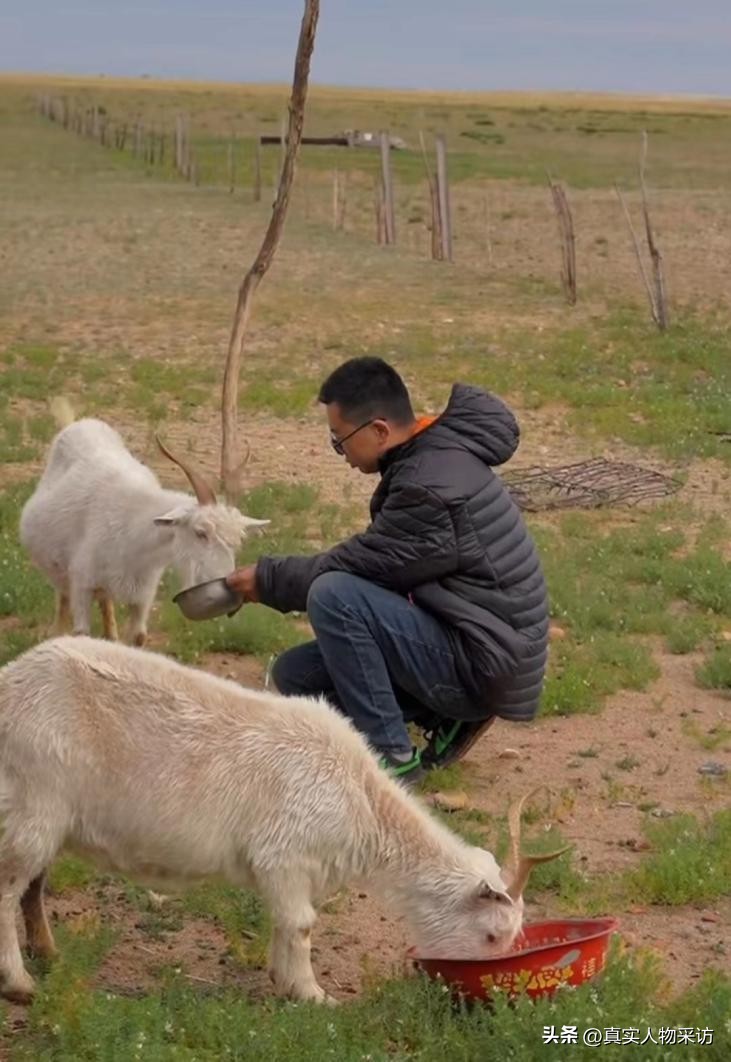 90后回家创业养羊卖羊肉,农村小伙为了创业养羊下血本买羊
