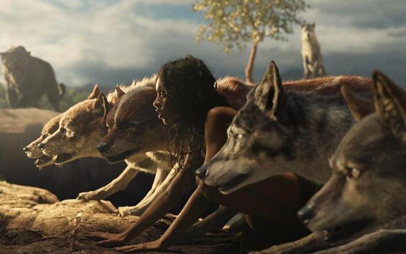 （七·四）蜘蛛侠的控制黑网