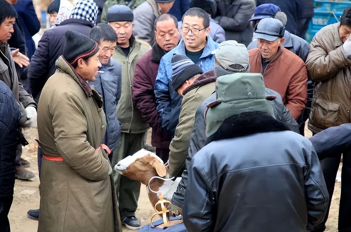 农村集市的四种摊位,农村集市上不能购买的4类商品