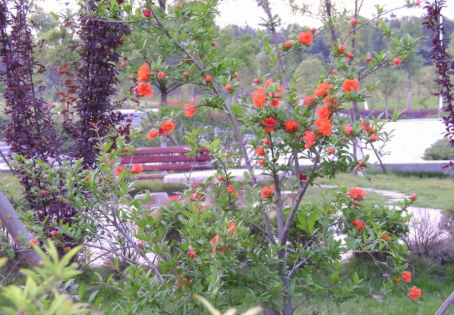 江西省的211大学,江西省211大学有哪个