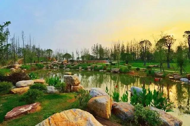 长沙市岳麓区坪塘街道规划,长沙市岳麓区坪塘街道白泉中学