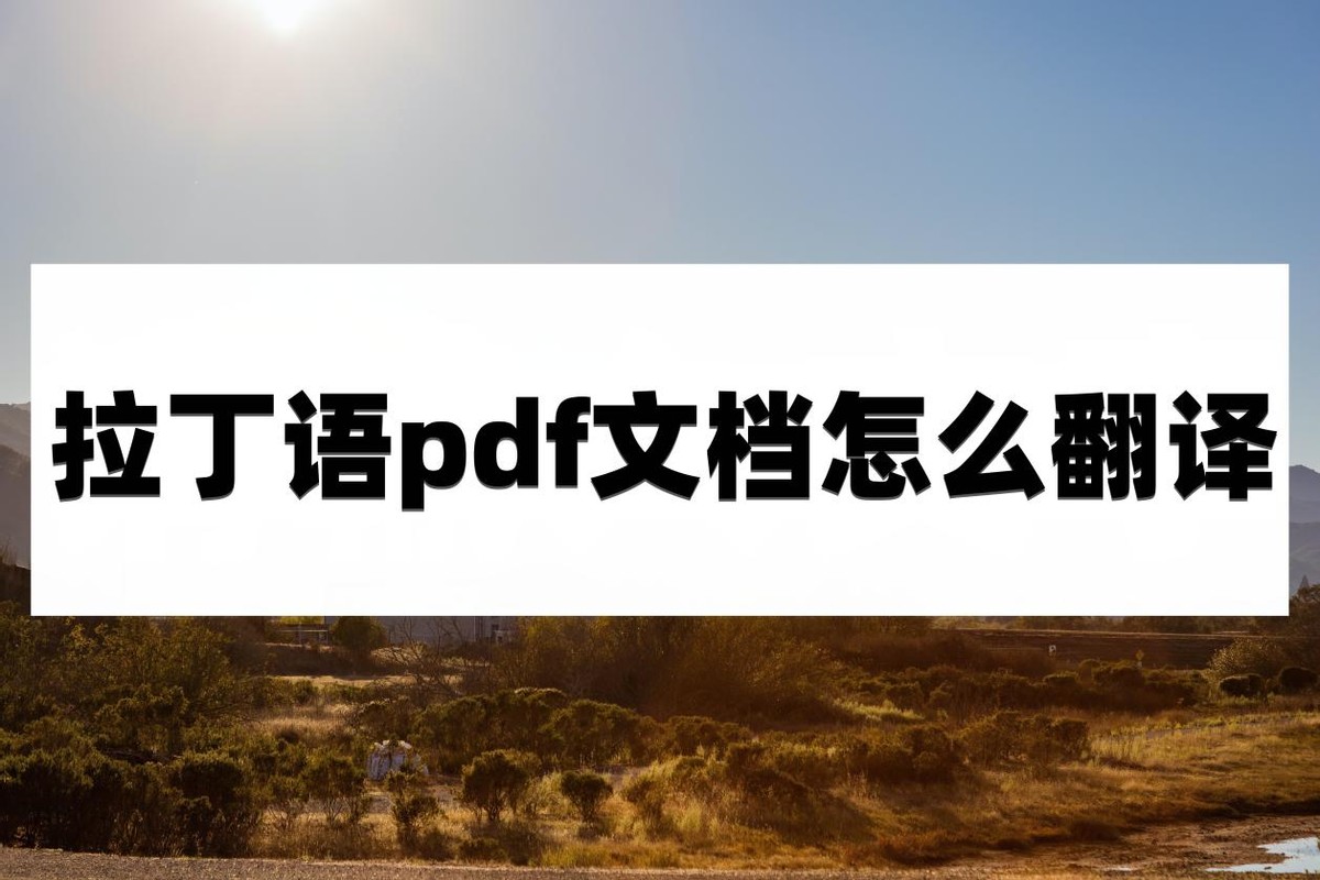 英文pdf翻译最简单的方法,拉丁文与中文互译