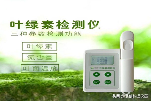 什么是滴血莲花菩提,什么是叶飞概念股