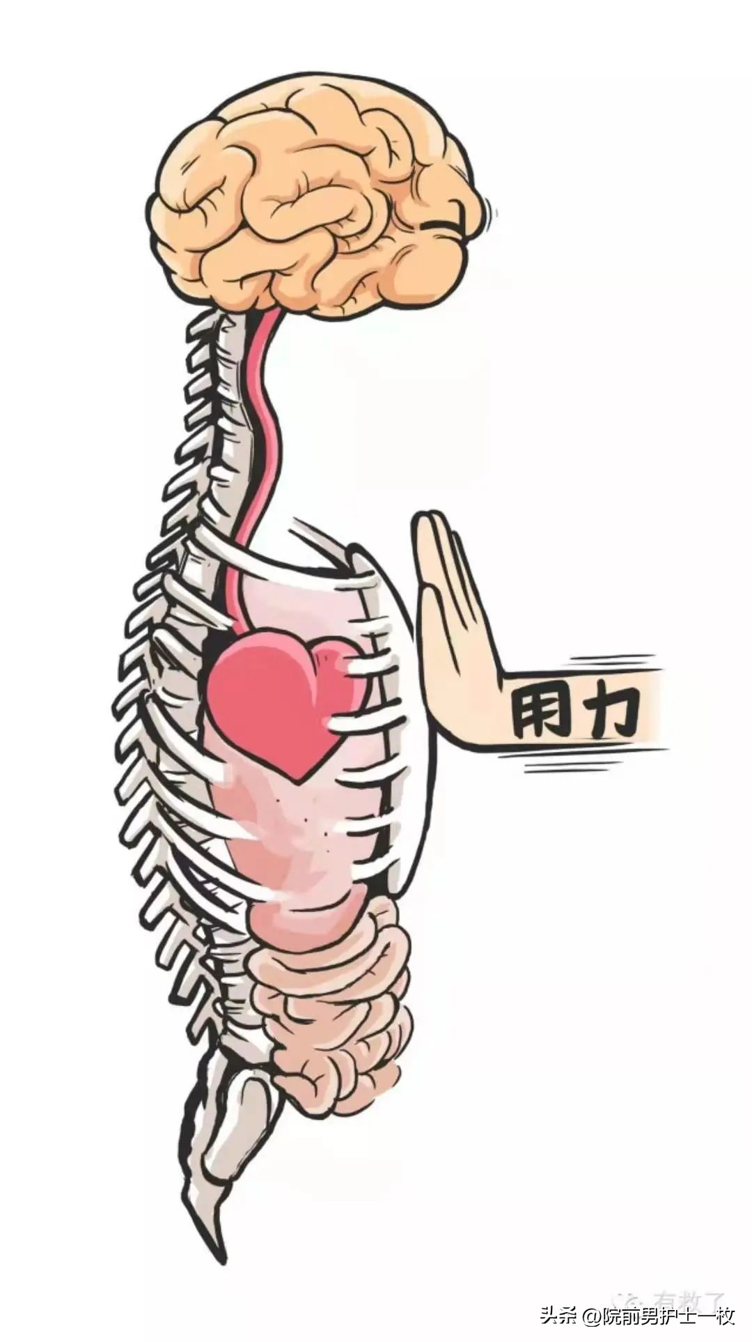 关于心绞痛护理措施的图片,冠心病心绞痛救治成功率