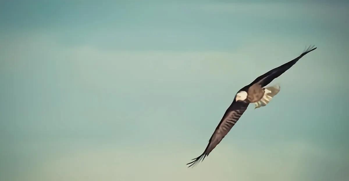 今日头条发视频怎么涨粉最有效,今日头条怎么涨粉最有收益