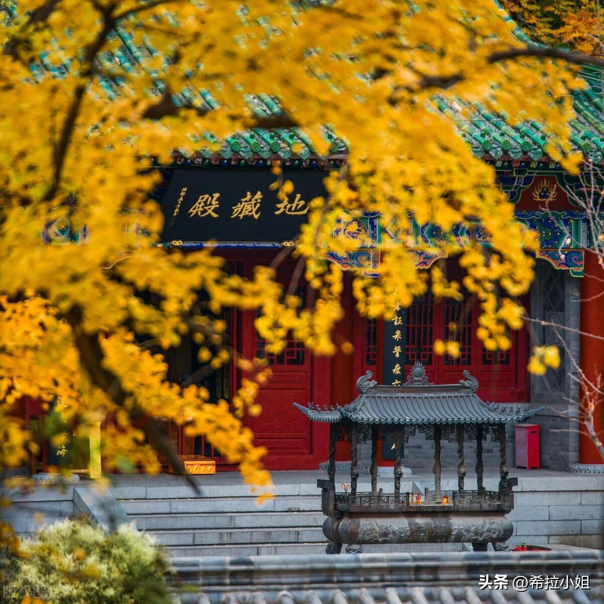 济南市旅游攻略必去景点有哪些,济南旅游攻略景点有哪些