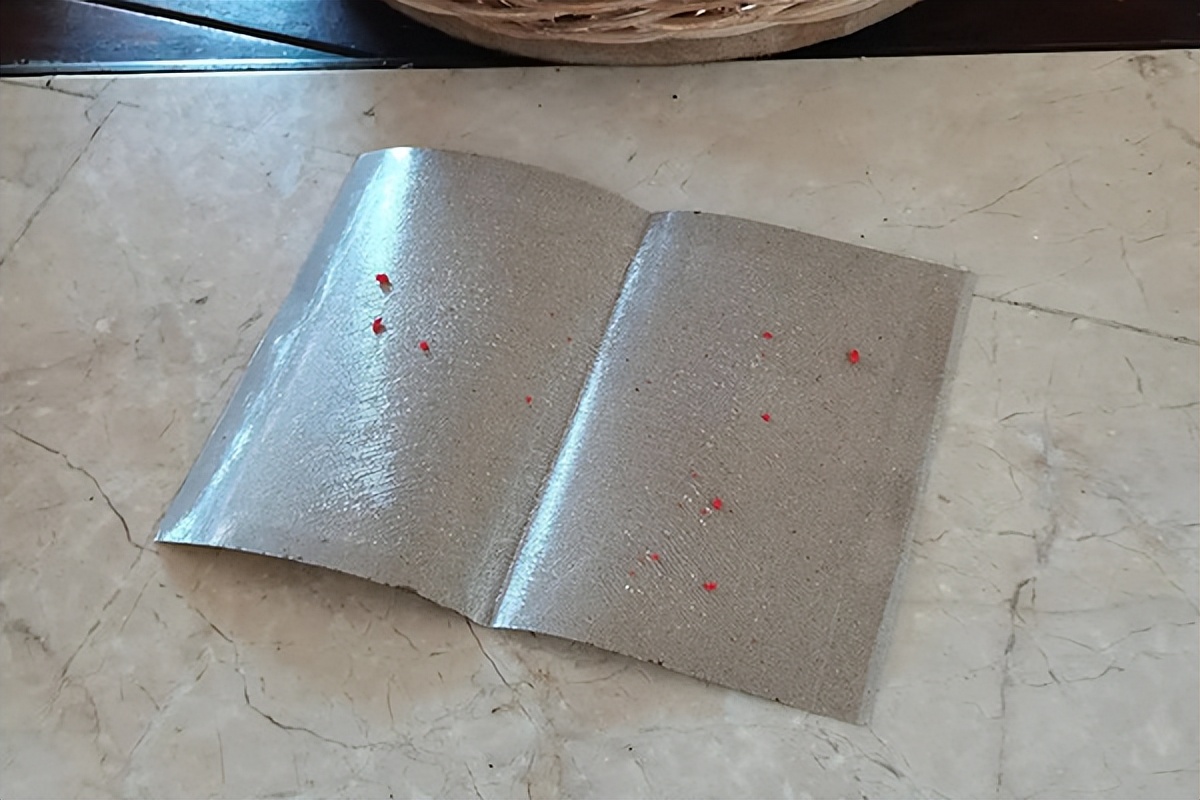 楼房家里有苍蝇怎么消灭,家里苍蝇太多怎么消灭小妙招