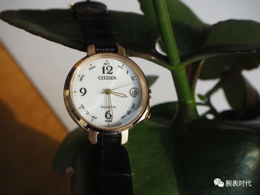性价比高的入门级女表,怎么选一只百搭的女表