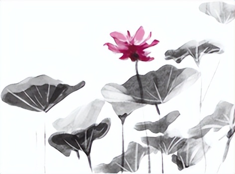 道德经第几章天道忌满人道忌全,道德经天道苍苍人道茫茫