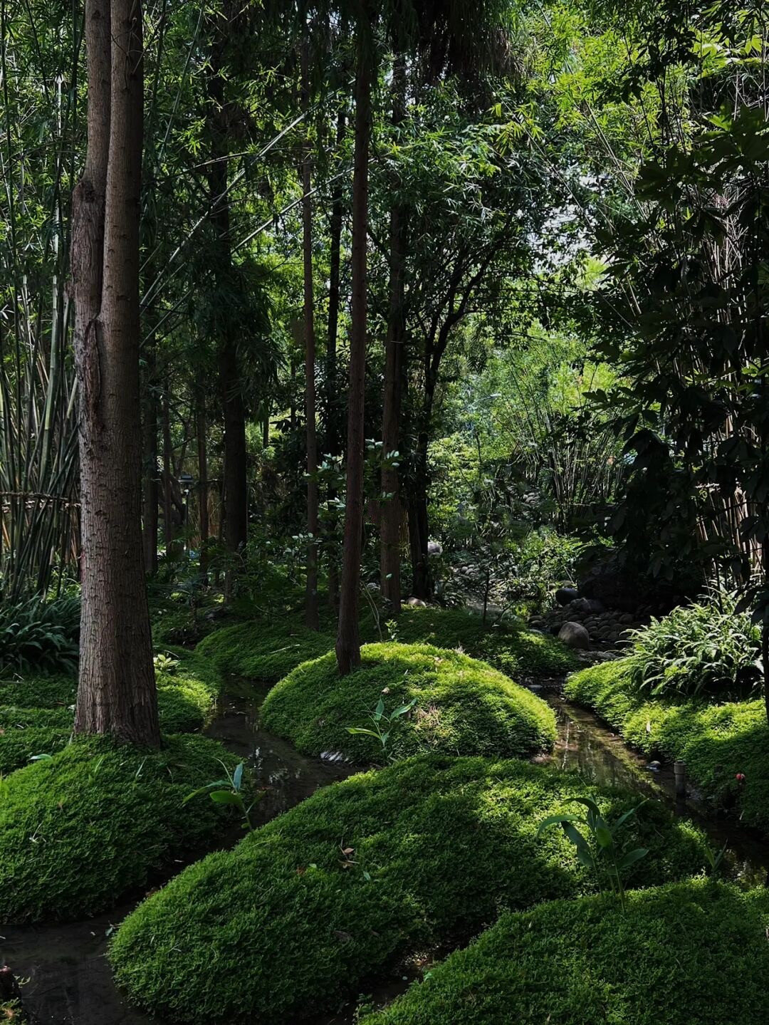 成都上新被施了魔法的“无蚊公园”!逛朋克风夜市、奇异洞穴书店