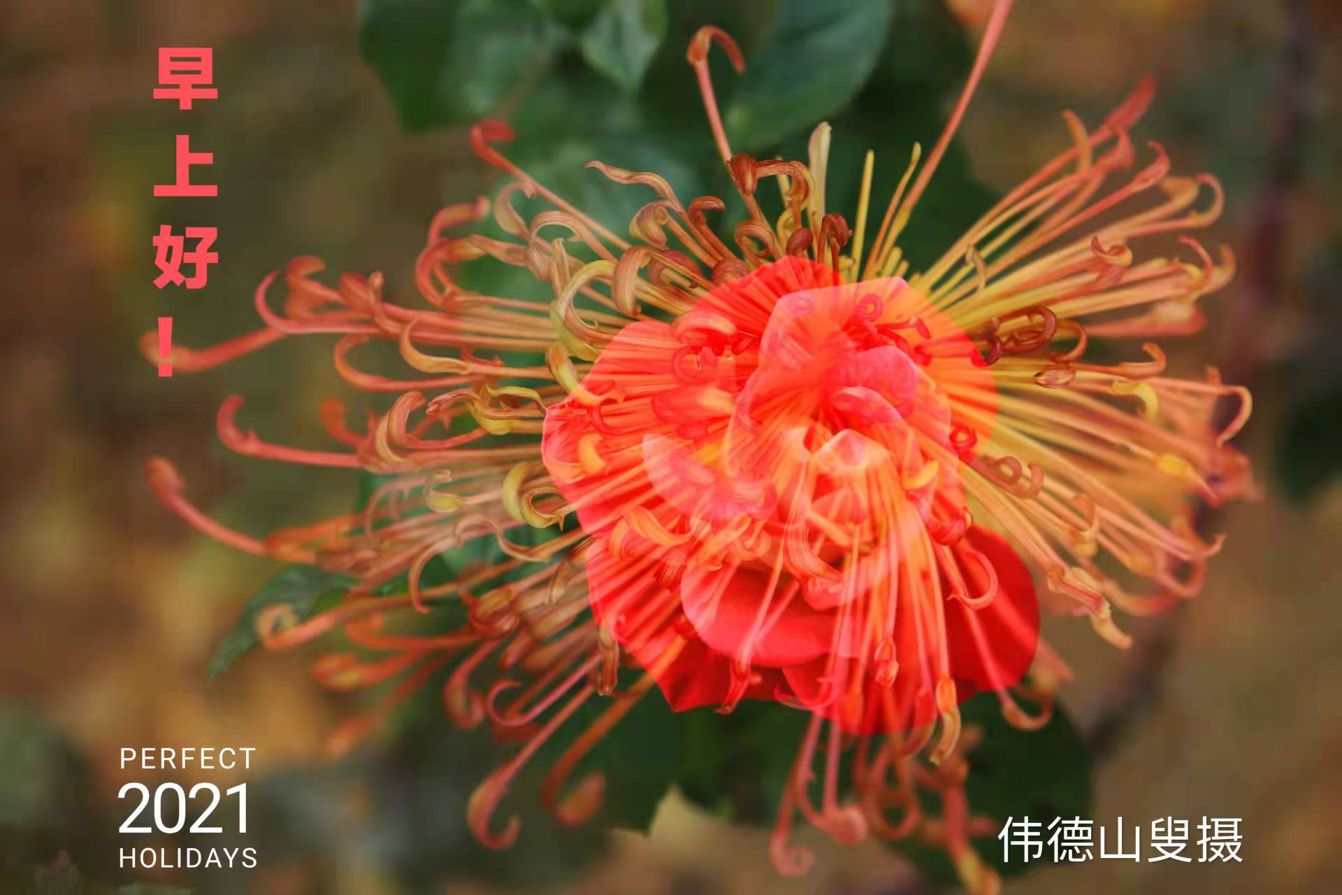 「战友美文」女作家张雪梅长篇小说《曾是女兵》（连载10）