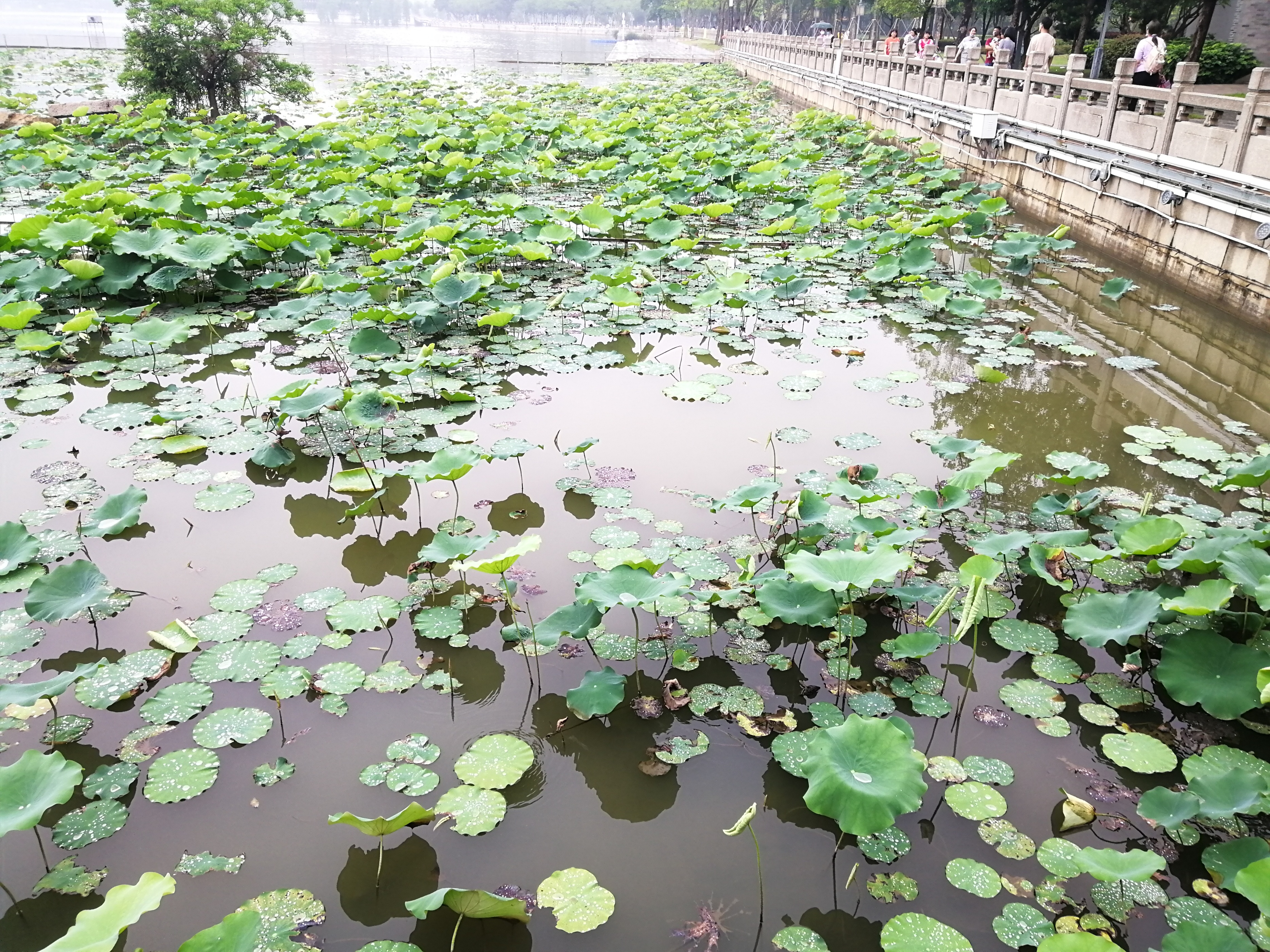 打卡广州地铁7号线,打卡广州最美7公里