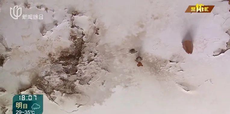 上海市地下室漏水新闻,上海楼房墙面漏水怎么办