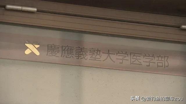 国外子宫移植普遍吗,日本器官移植手术