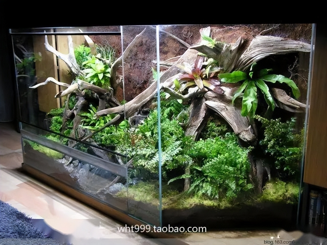 雨林缸超小,雨林缸电视柜