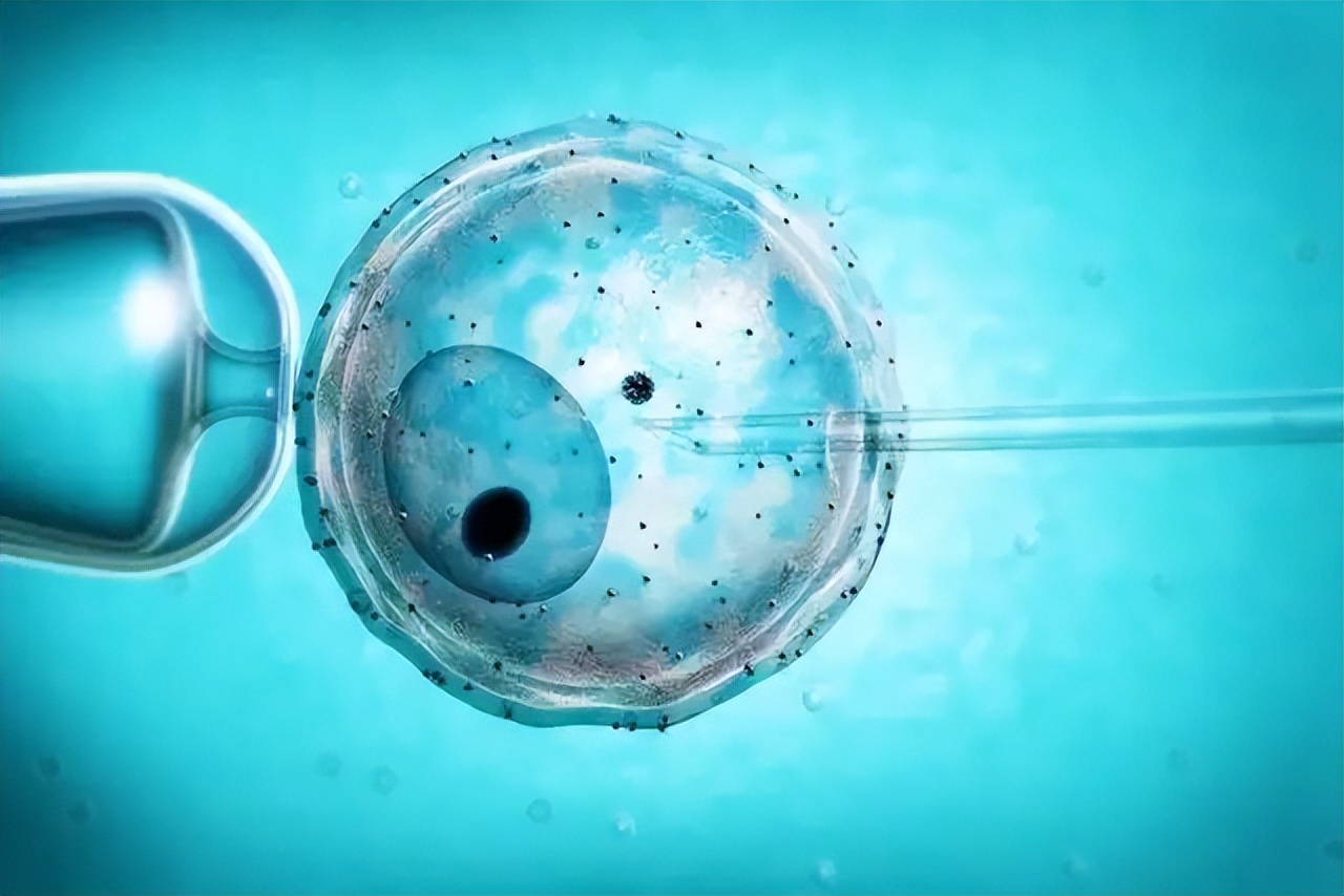 女网红泰国试管婴儿失败,女网红泰国试管婴儿