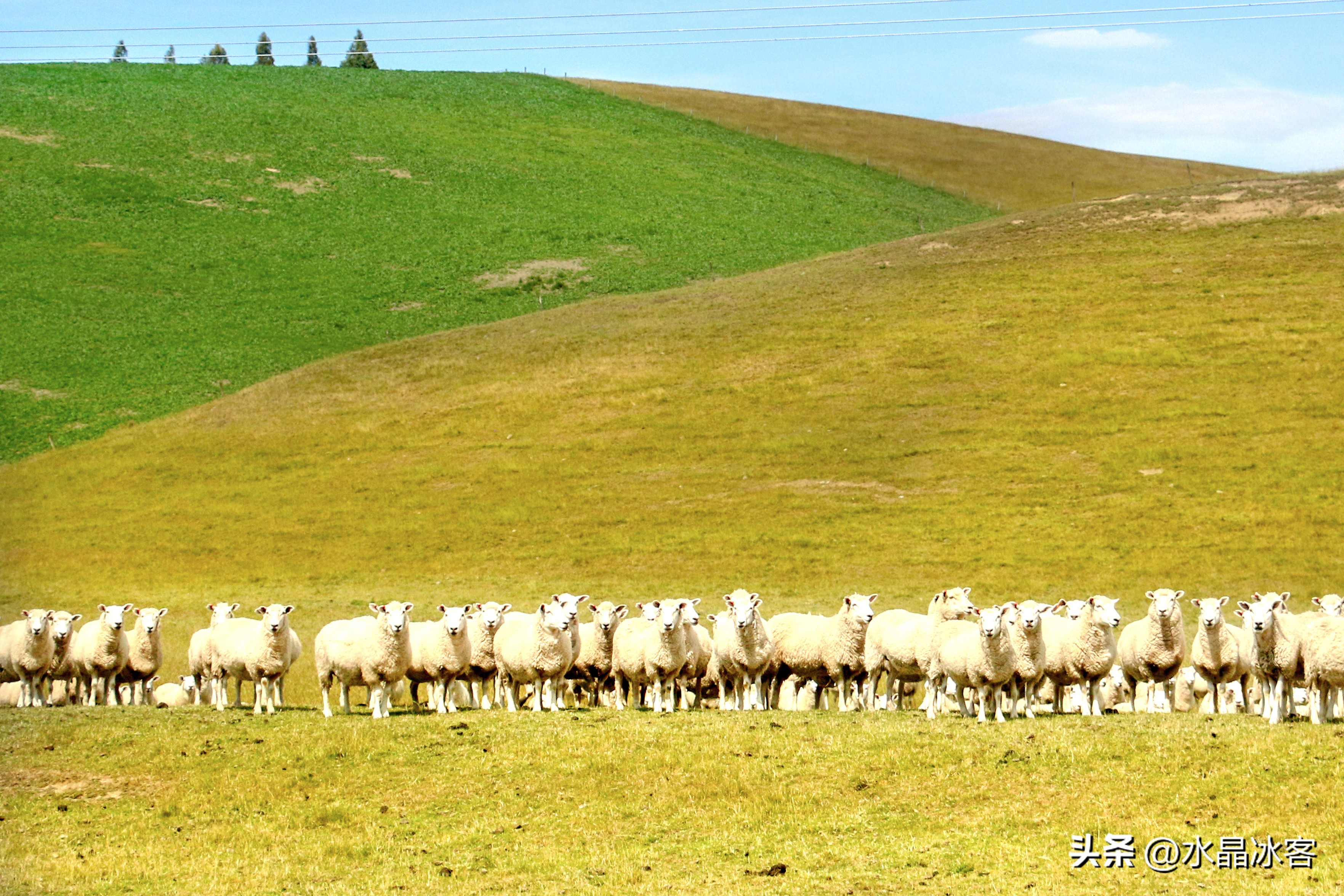 南岛新西兰之旅,新西兰之南岛