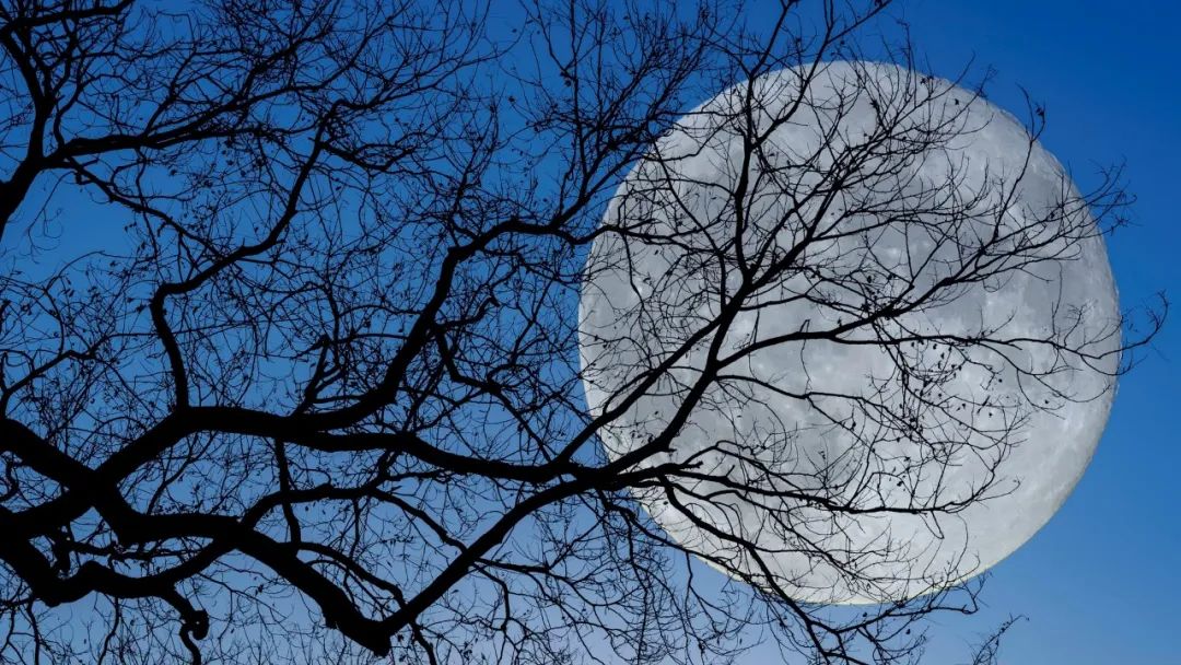 李贺最著名的十首诗句,李贺最著名十首诗赏析