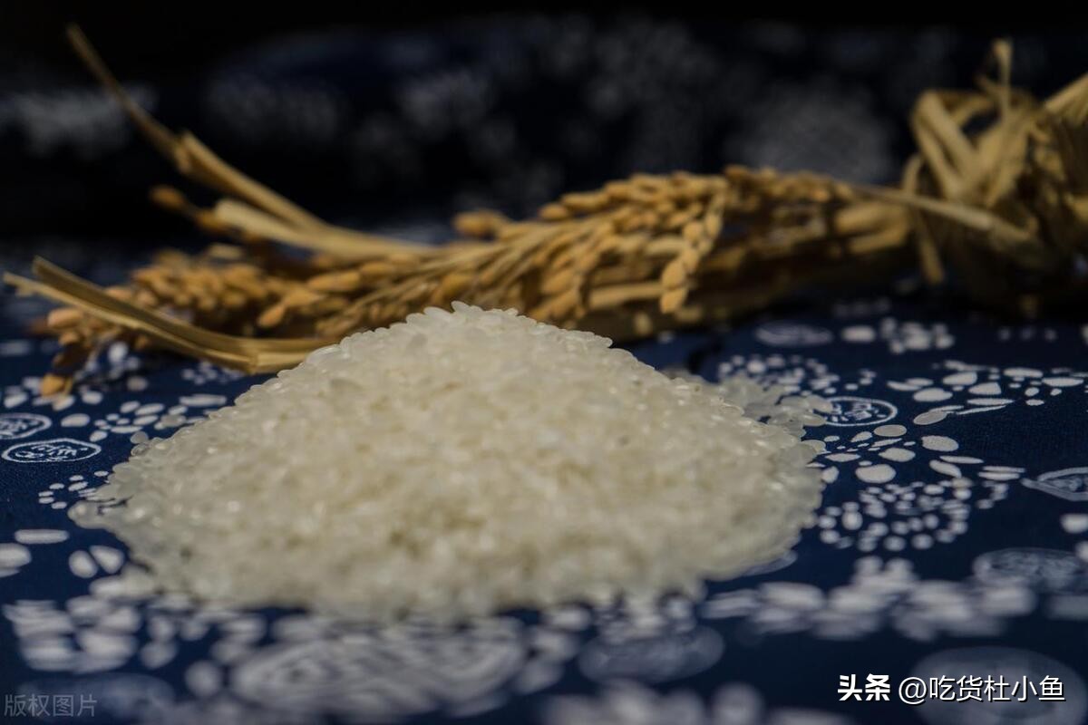 真正的江苏盐城有什么特产,盐城最出名的特产有哪些