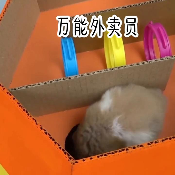 点赞量高书单,关注点赞每日更新小说