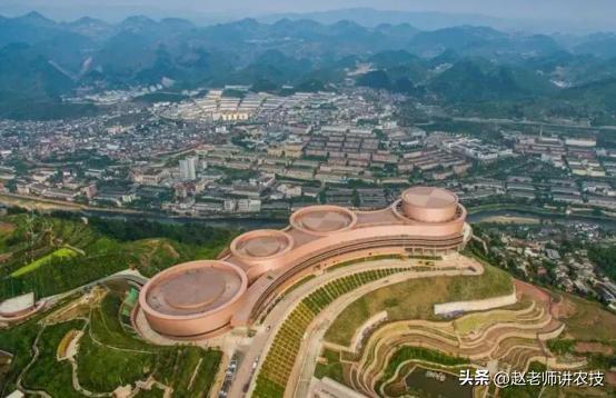 回收老酒一年能挣多少钱,高价回收老酒是真的吗