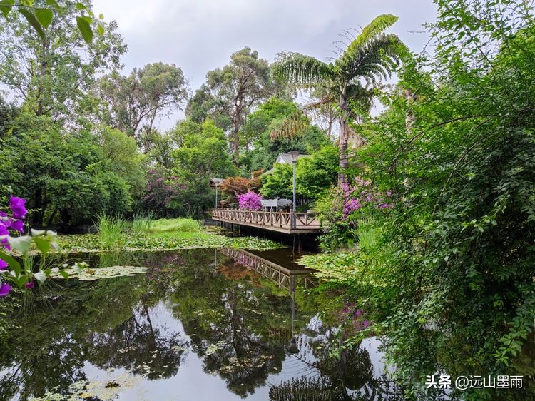 昆明世博园最值得看的有哪些景点,昆明世博园哪里看花最好看