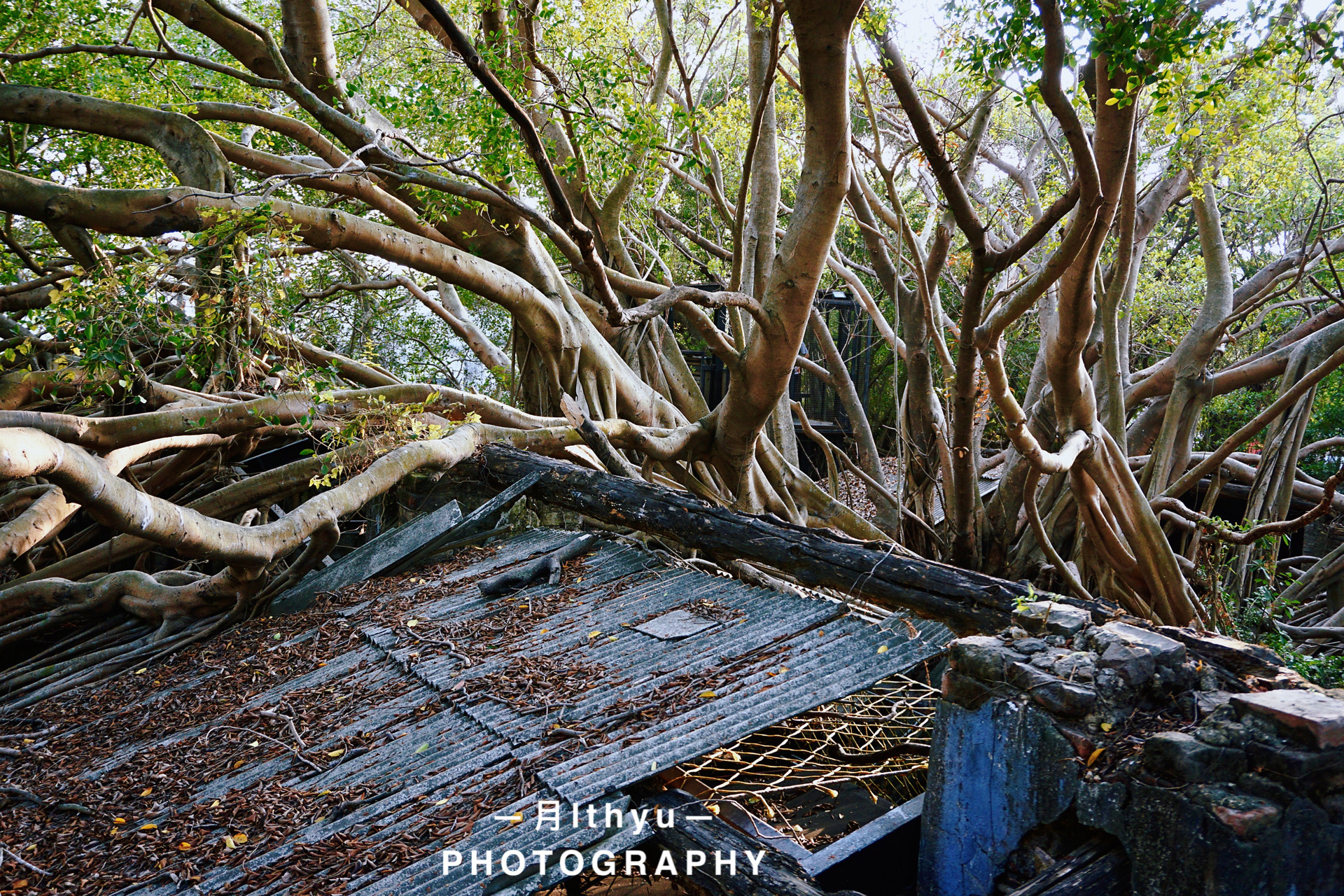 台南是台湾最古老的城市吗,台北和台南哪个地方更亲大陆