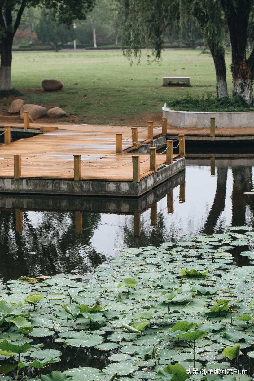 再见南京演唱,南京仙林回忆