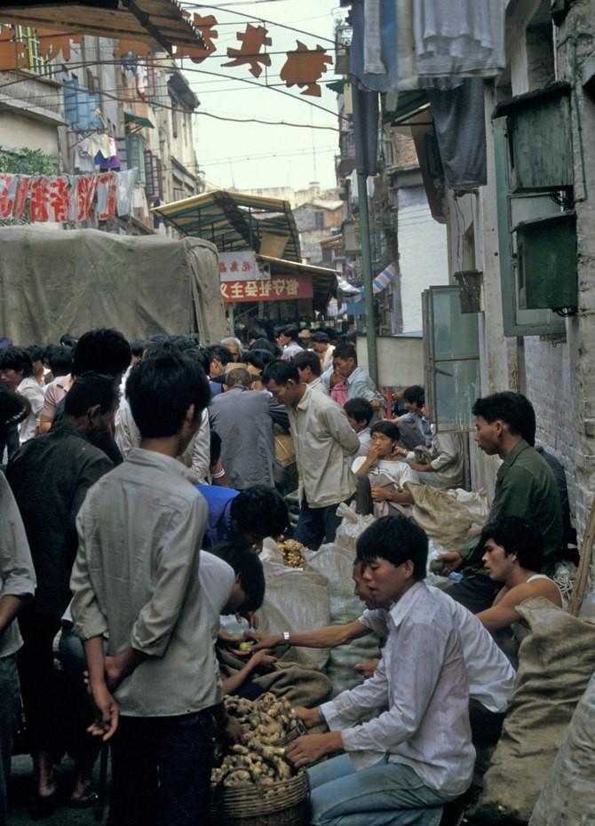 农村搞笑卖猪视频,80年代农民卖猪图片图文