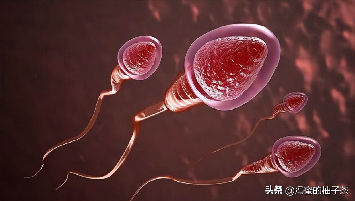 孩子长得像前女友有科学依据吗,孩子长得像老公但不是老公的