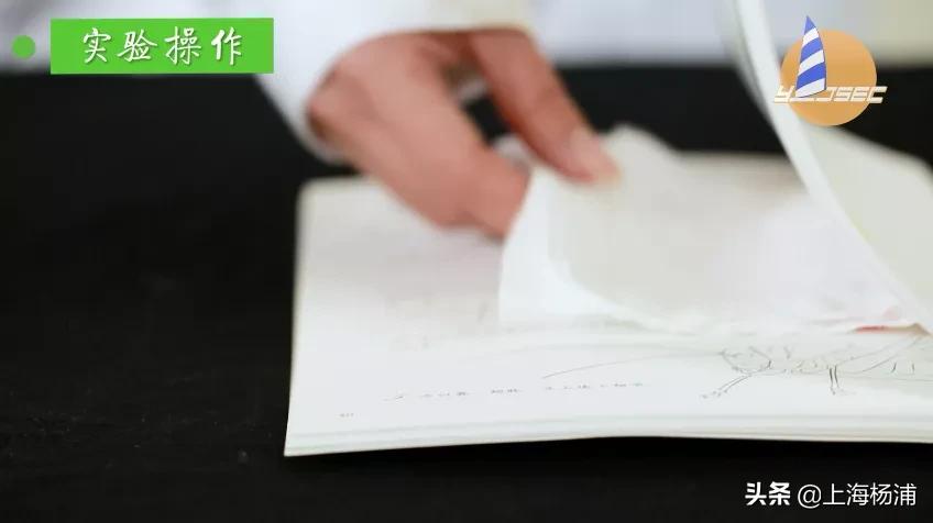 动手做一枚“叶脉书签”吧，好看又实用！【春节宅家手工】