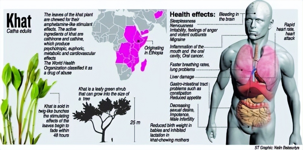 槟榔成瘾的国家,沉迷槟榔应该怎么戒呢