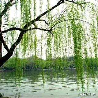 高尔夫球新规什么情况下可以动球,高尔夫球新规什么时候改的