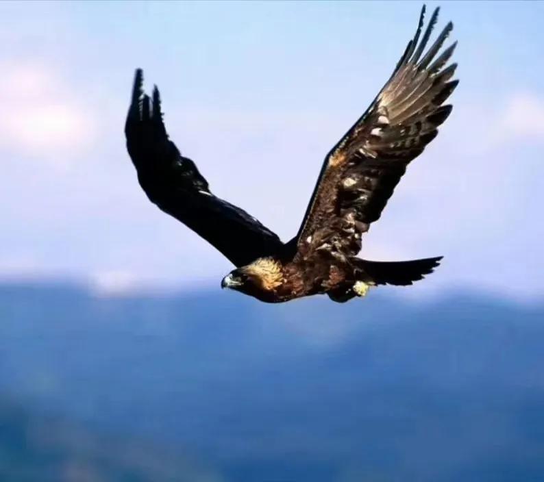 2023年民办教育新动向,义教均衡发展前景如何