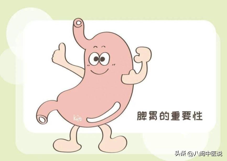 脾胃最怕这三样东西,一招逼出脾胃寒湿气