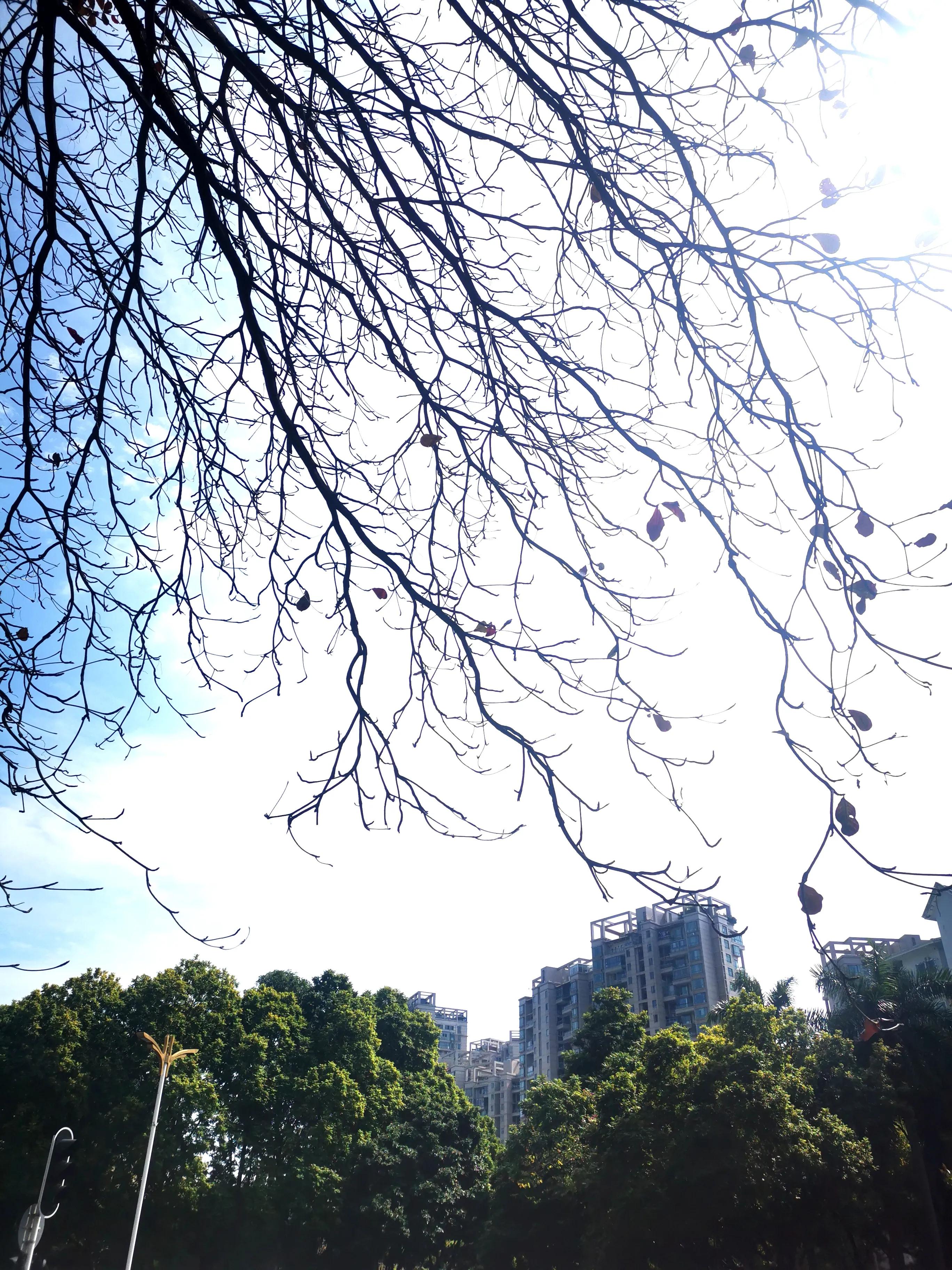 深圳街拍夏天视频,深圳冬季街拍