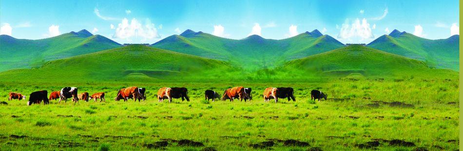 天然氧吧养生避暑,天然氧吧休闲养生的好地方