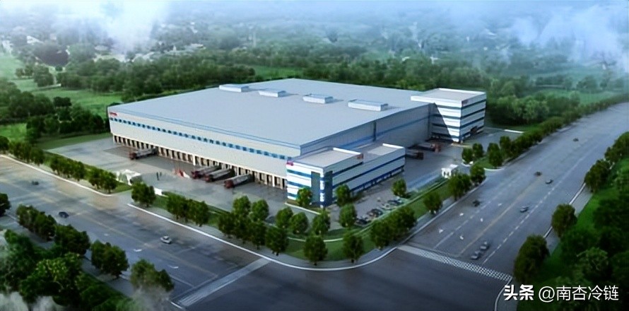 冷链的发展和前景,冷链行业的发展