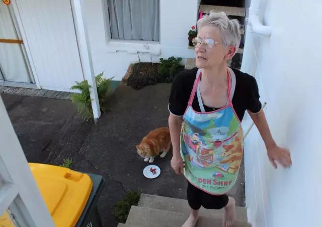 新西兰留学生寄宿洋人家的费用,住在新西兰的真实感受