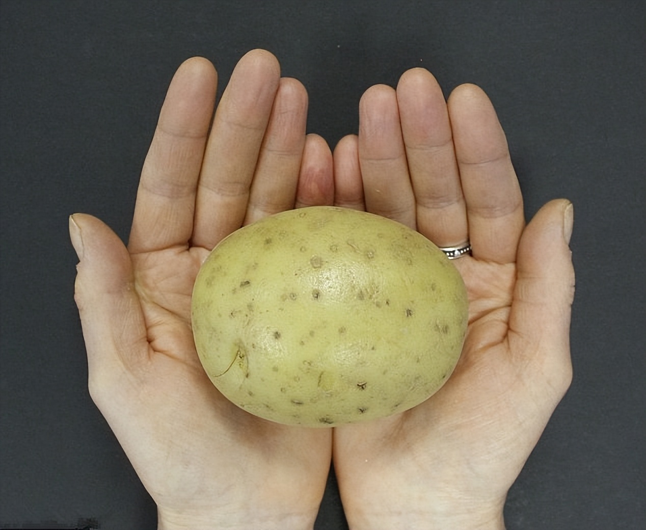 双语美文每一天都是特别的,双语美文一日三餐