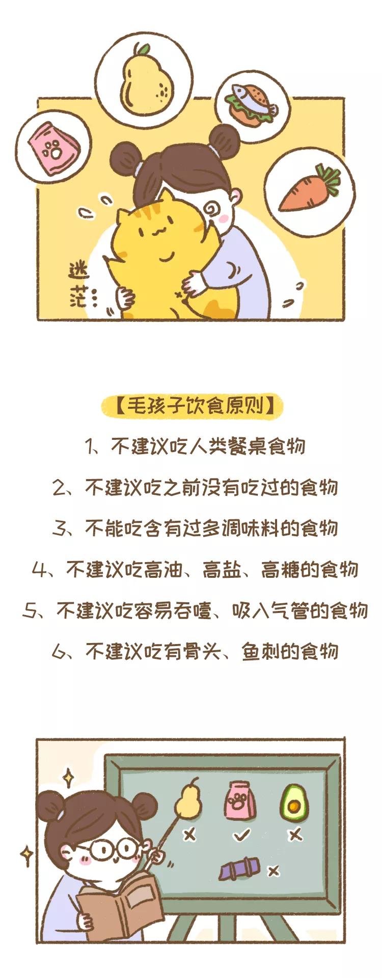 网友炸锅：麦当劳出了香菜新地，猫咪和狗狗能吃香菜吗？